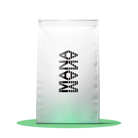Family Pack OP | Pistachio