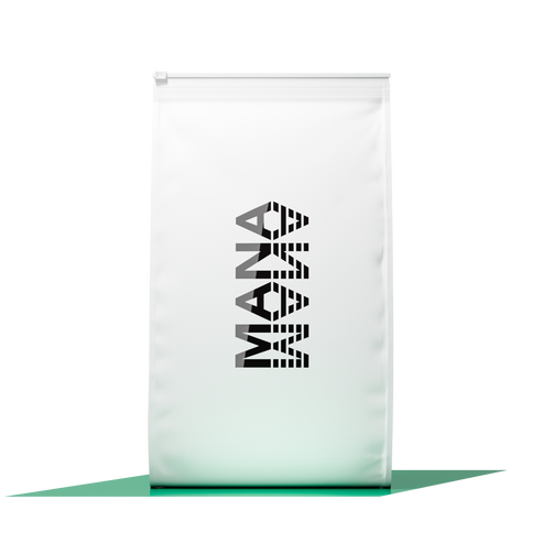 Family Pack HP | Pistachio